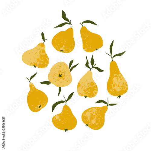 Summer fruit card or print for t-shirt in hand drawn style. Vector design with pears isolated on the white background.