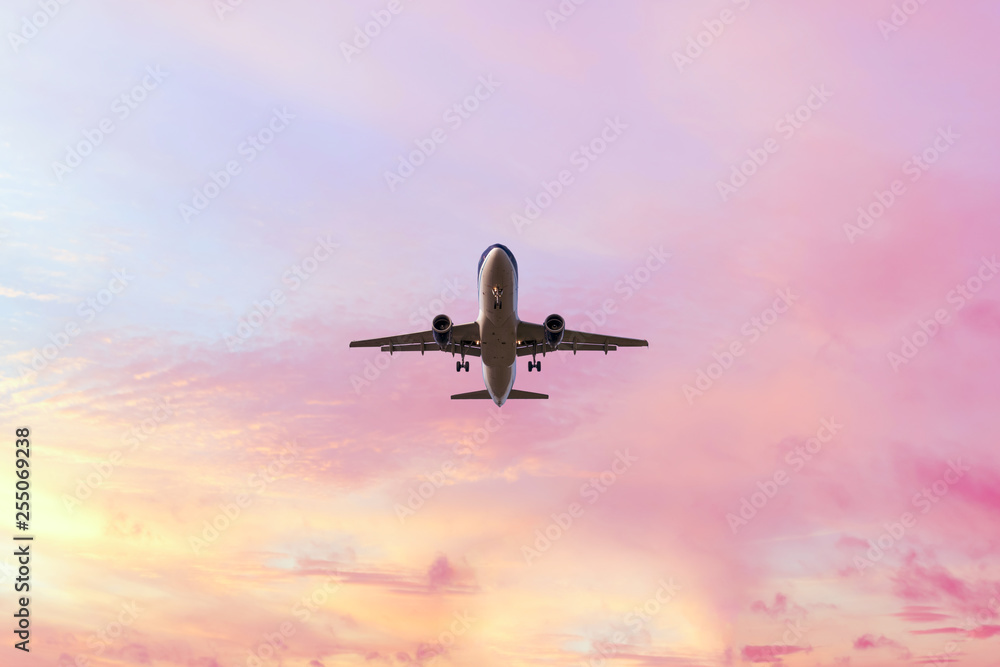 Landing airplane on the pastel colored sky background. Sunset sky in the pink and blue colors .