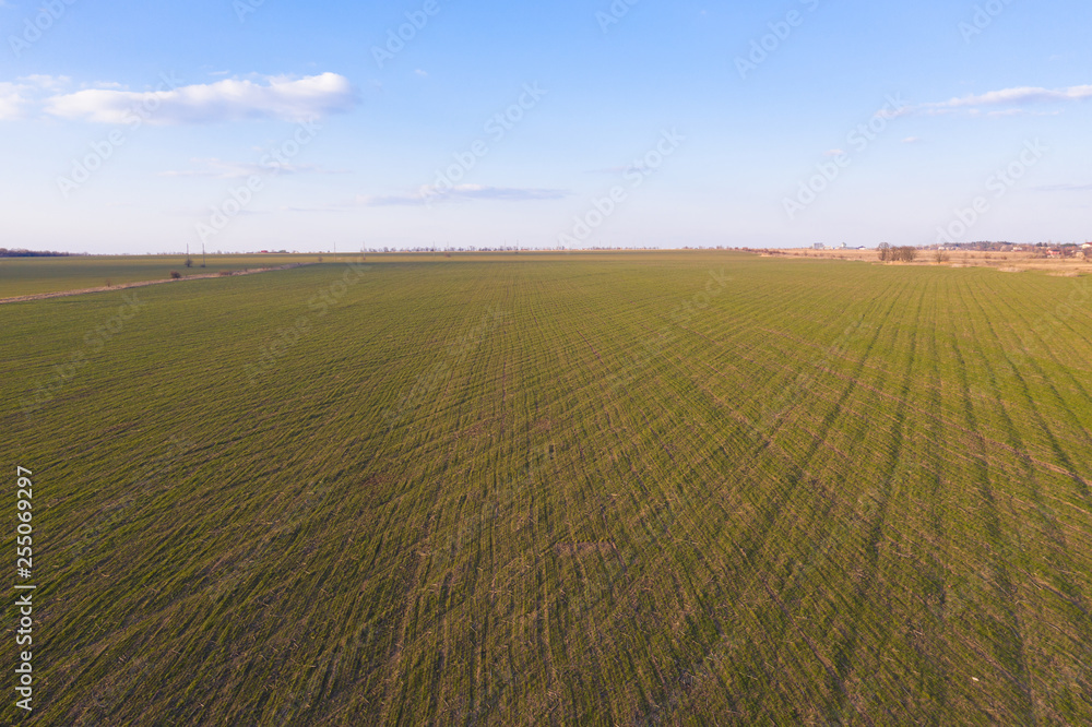 Airbrush photography of a green field from a height. Blue sky.