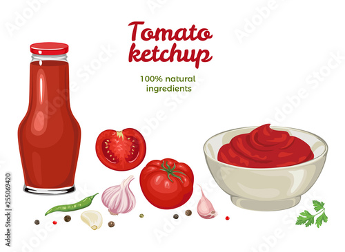 Ketchup set. Tomato sauce in bowl and in glass bottle isolated on white background. Fresh tomatoes, parsley, garlic, chili pepper, peppercorn. Vector illustration of dip, vegetables and spices.