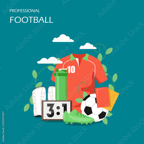 Professional football vector flat style design illustration