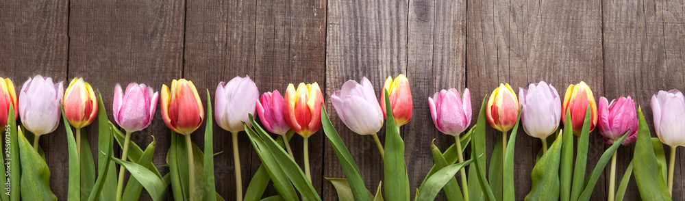 custom made wallpaper toronto digitalbouquet of tulips of spring flowers on old wooden board on holiday of Easter