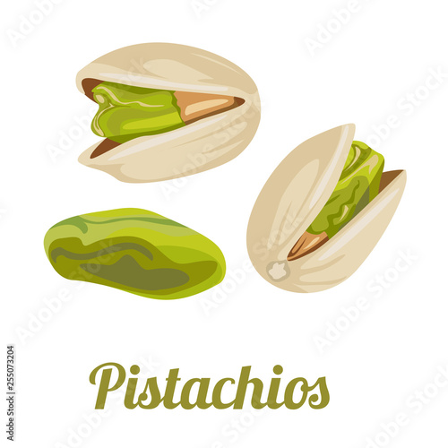 Pistachios icon isolated on white background. Vector illustration in cartoon flat simple style.