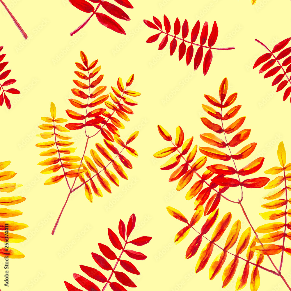 Fototapeta premium Set from leaves of the Rowan branch . Watercolor illustration isolated on yellow background.Seamless pattern