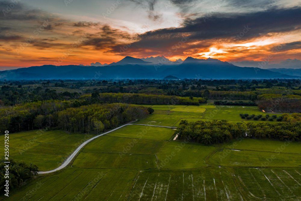 Fototapeta premium Rural road through the rice fields to the mountains with orange sunset cloudy sky background, drone shot