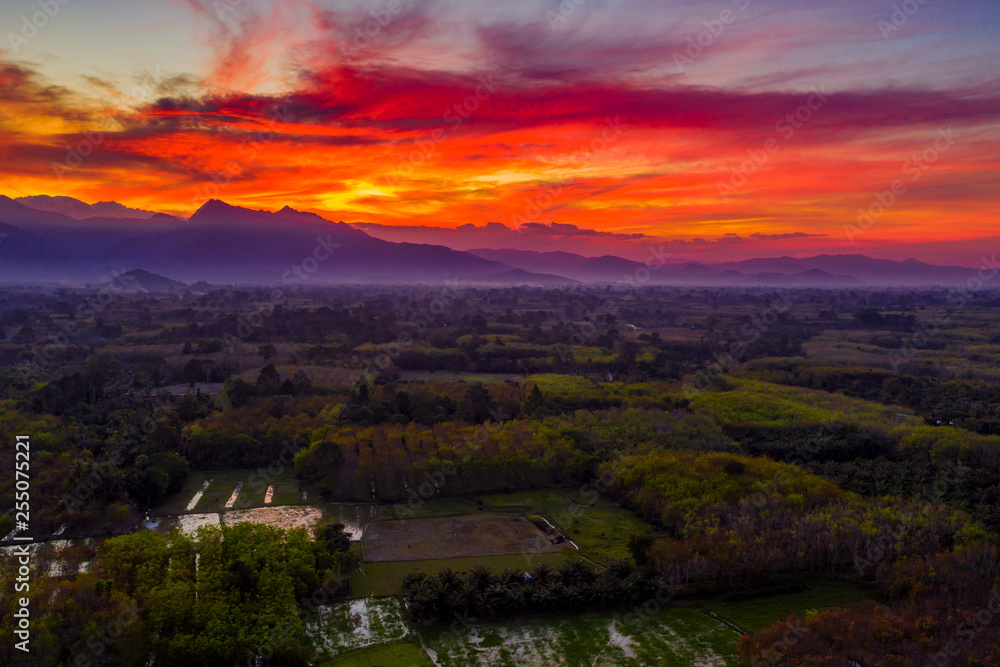 Red cloudy sunset above rubber trees, palm plantations and rice fields, top view panoramic landscape