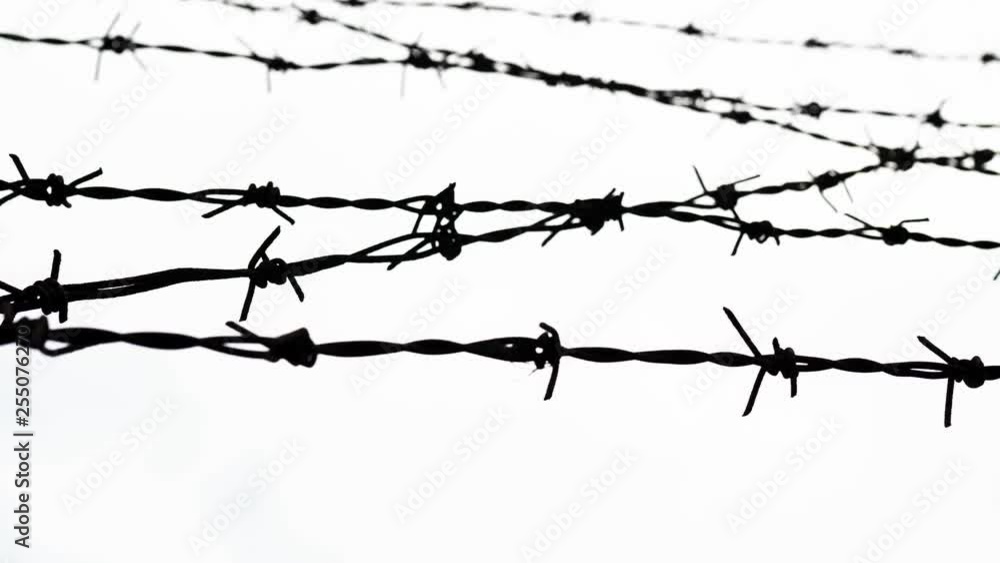 barbed wire - freedom barbed wire - freedom