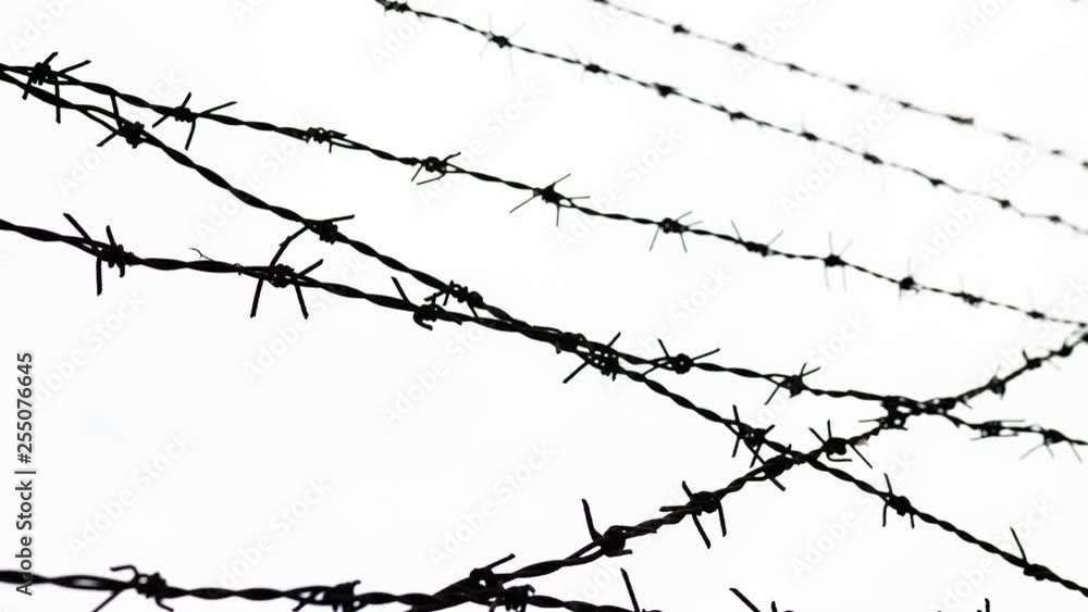 barbed wire - freedom barbed wire - freedom