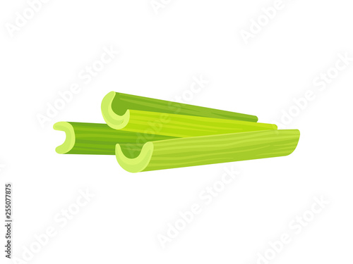Celery slice. Green vegetable on white background.
