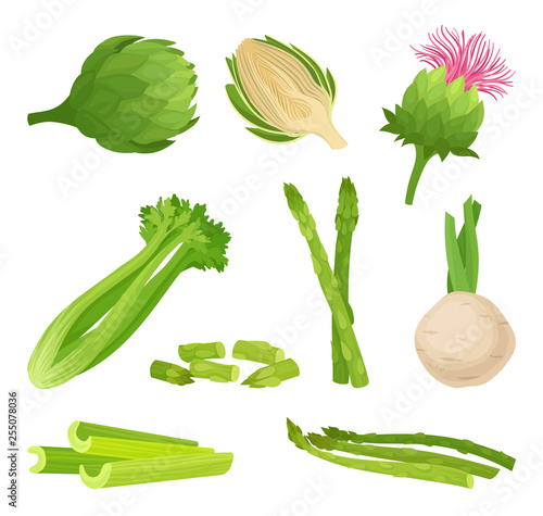 Celery concept. Organic food and vegetarianism. Vector illustration.