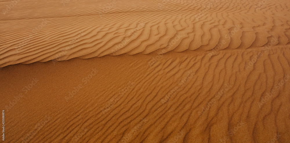 desert texture background - Image desert texture background - Image