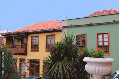 Colorful traditional Canarian houses with yucca plants in front, Orotava, Tenerife