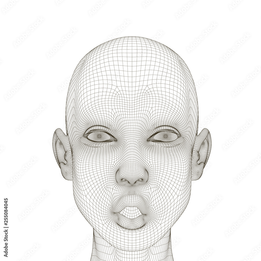 Wireframe of a girl head with a surprised expression and open mouth. Polygonal girl head isolated on white background. 3D. Vector illustration Wireframe of a girl head with a surprised expression and open mouth. Polygonal girl head isolated on white background. 3D. Vector illustration
