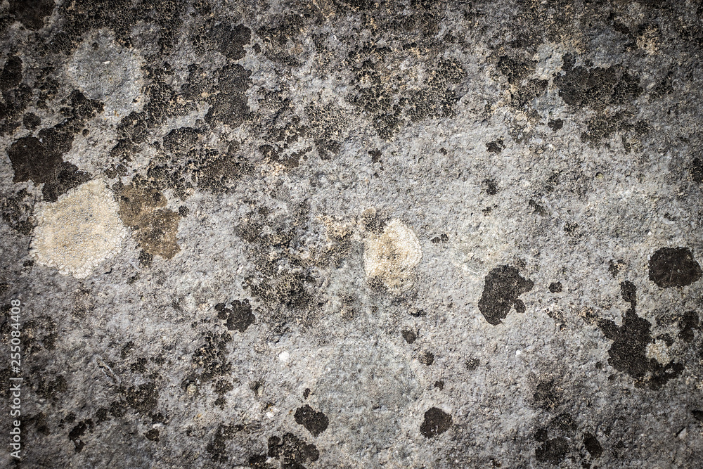 Old Stone Wall Background. Retro Concrete Texture.