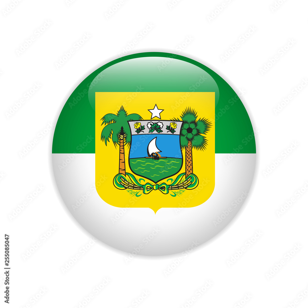 Obraz premium Flag Bandeira do Rio Grande do Norte on button