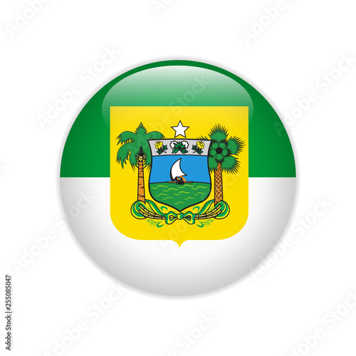 Flag Bandeira do Rio Grande do Norte on button