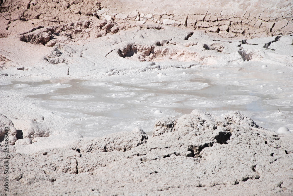 Fototapeta premium Yellowstone Nationalpark, Wyoming