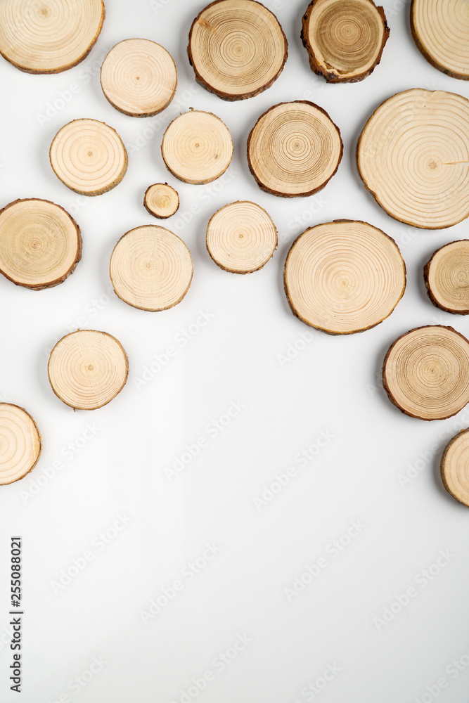 Pine tree cross-sections with annual rings on white background. Lumber piece close-up shot, top view. Pine tree cross-sections with annual rings on white background. Lumber piece close-up shot, top view.