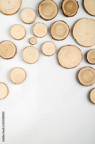 Pine tree cross-sections with annual rings on white background. Lumber piece close-up shot, top view.