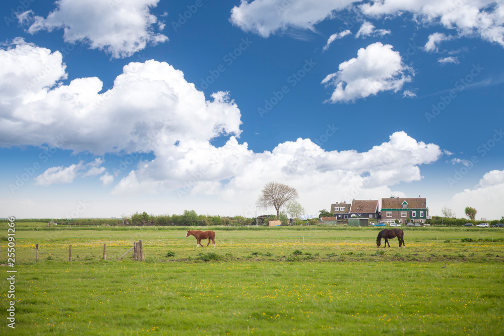 Volendam, Netherlands