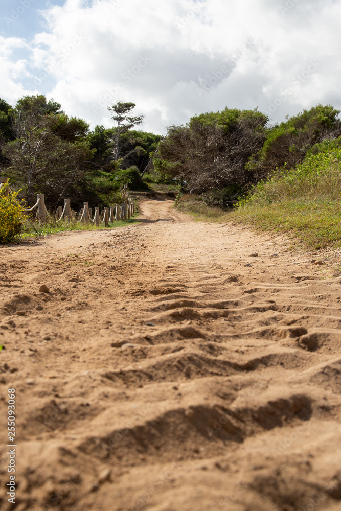Wonderful dune landscape Cala Mesquida Mallorca Spain