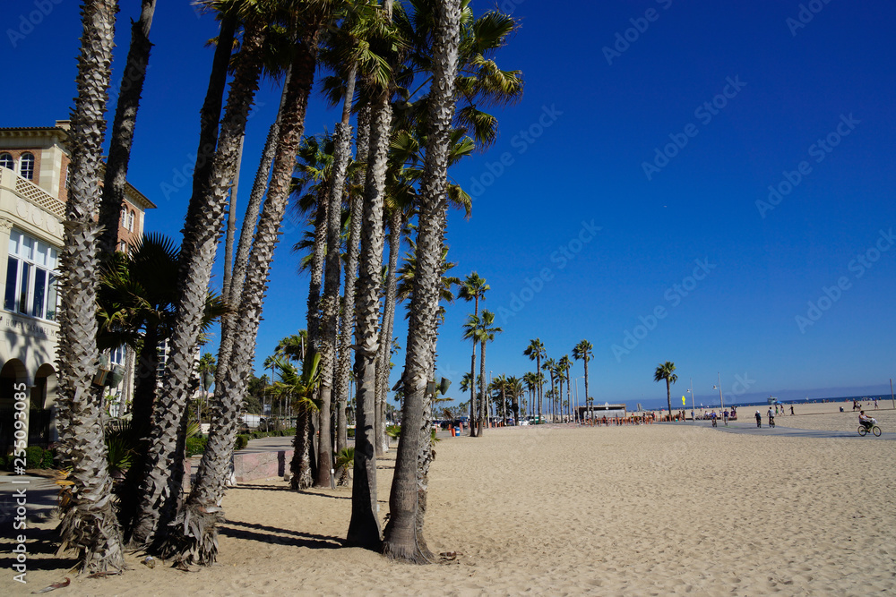 Santa Monica State Beach with palm trees Santa Monica State Beach with palm trees