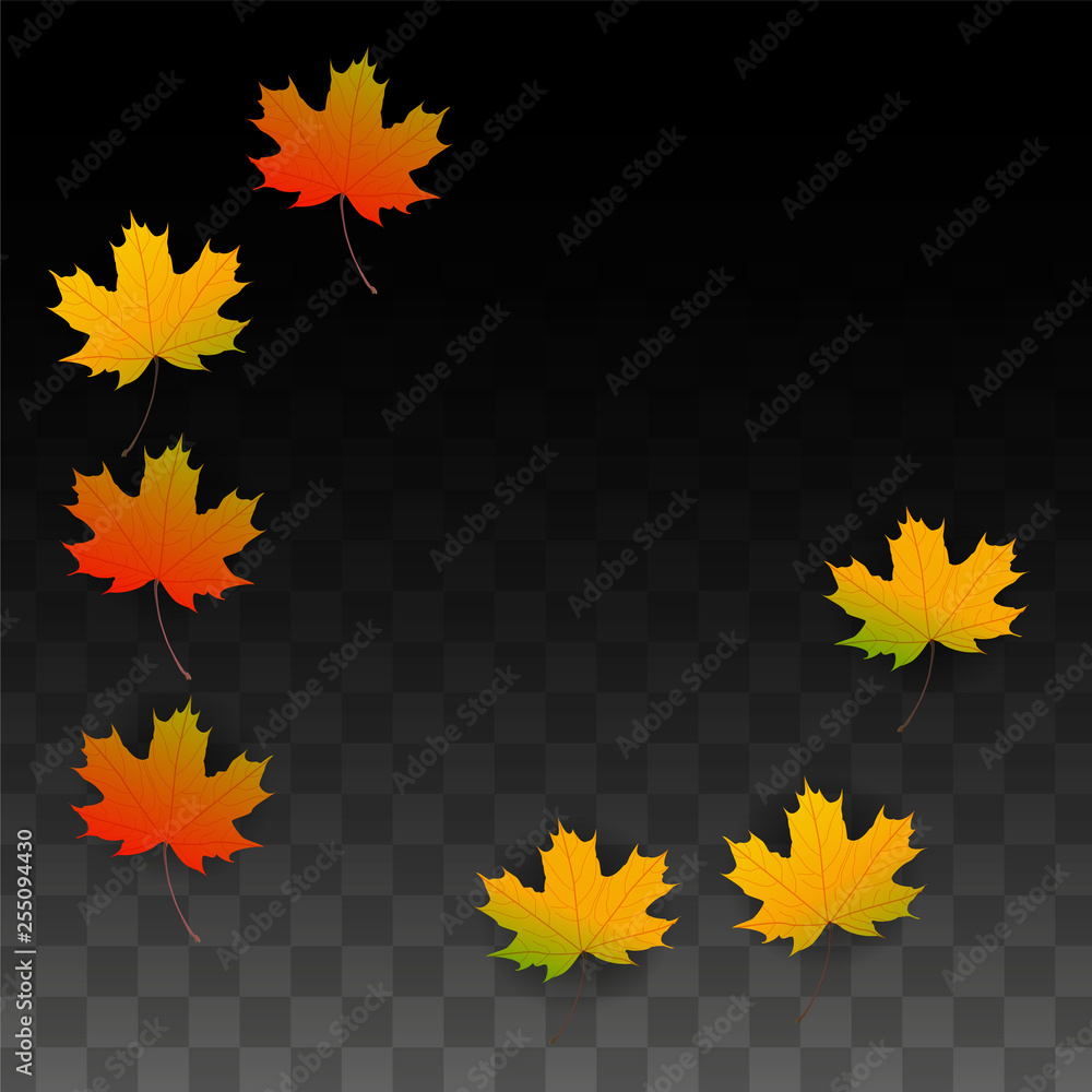 September Vector Background with Golden Falling Leaves. Autumn Illustration with Maple Red, Orange, Yellow Foliage. Isolated Leaf on Transparent Background. Bright Swirl. Suitable for Posters. September Vector Background with Golden Falling Leaves. Autumn Illustration with Maple Red, Orange, Yellow Foliage. Isolated Leaf on Transparent Background. Bright Swirl. Suitable for Posters.