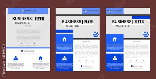 pack of flyer business