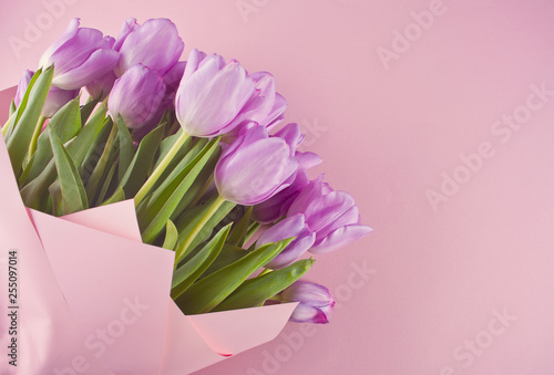 bouquet of purple tulips on the pink background. Copy space.