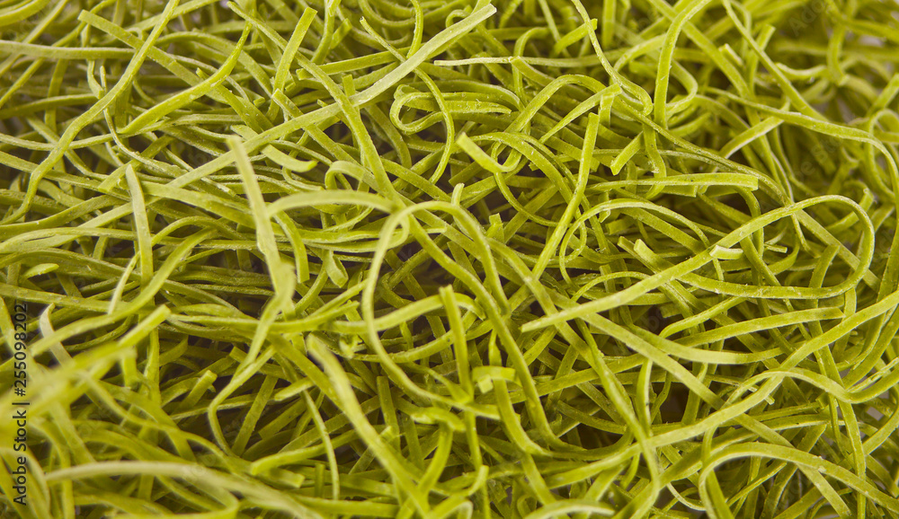 green vegetarian vermicelli. green vegetarian pasta. Vegetarian healthy food. Close up.