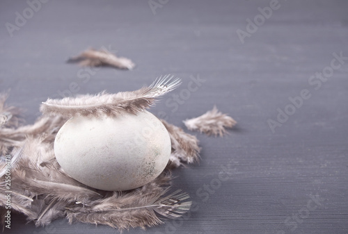 Easter white egg on a gray background with feathers