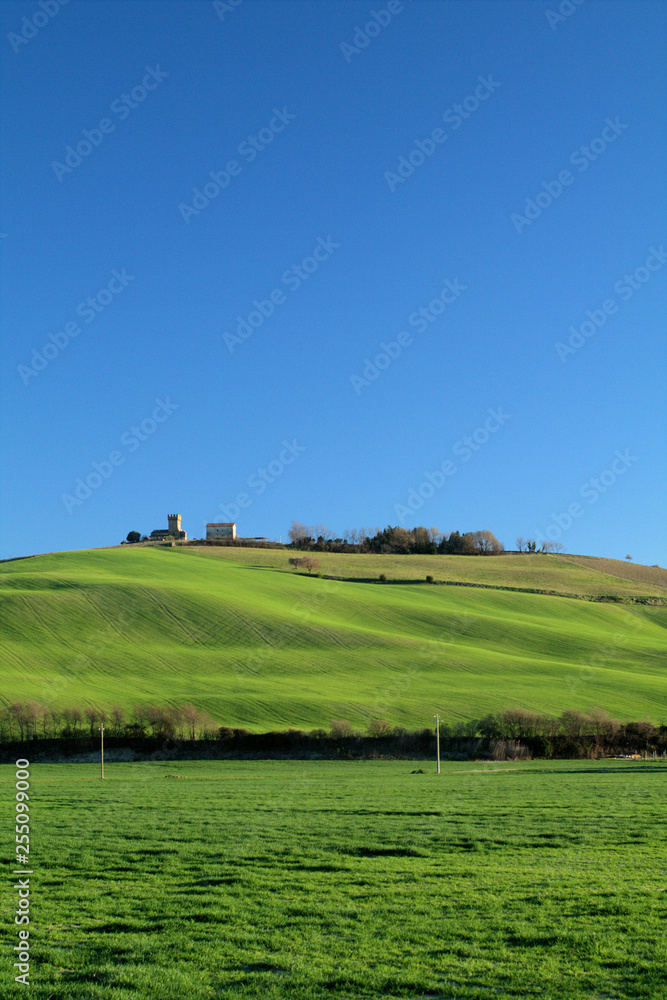 landscape with green field and blue sky,agriculture,rural,spring,panorama,countryside,cereals