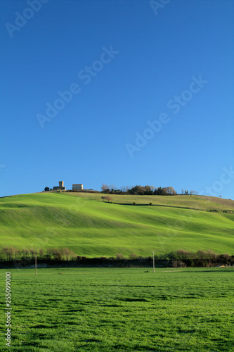 landscape with green field and blue sky agriculture rural spring panorama countryside cereals