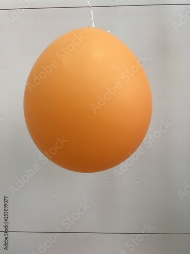 Orange egg