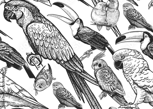 Seamless vector background with parrots.