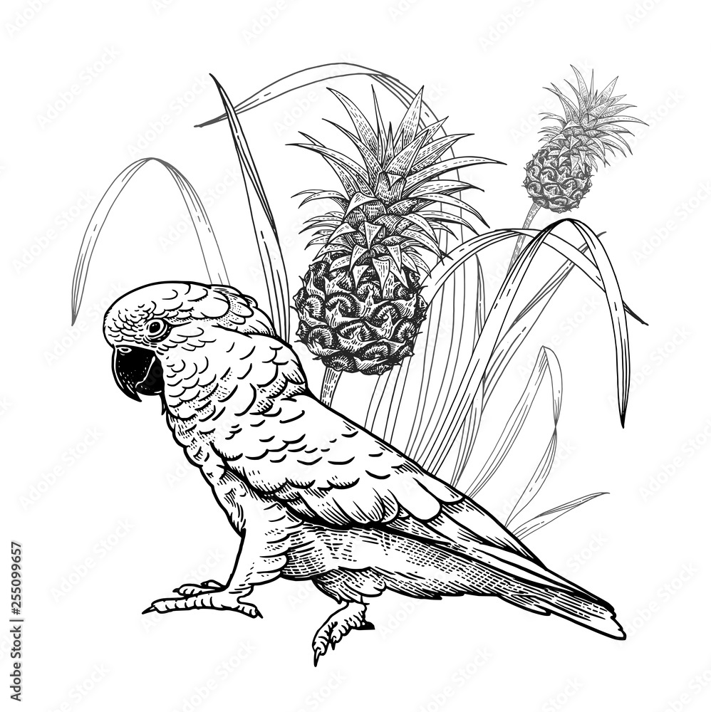 Tropical decoration. Parrot and pineapple