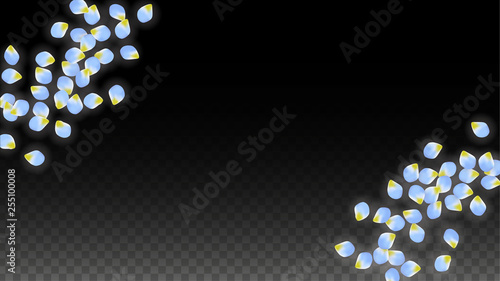 Vector Realistic Blue Petals Falling on Transparent Background.  Spring Romantic Flowers Illustration. Flying Petals. Sakura Spa Design. Blossom Confetti.