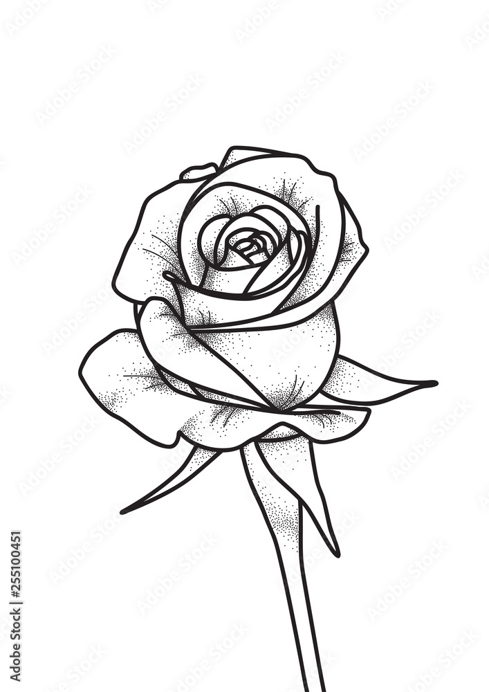 Vector Tattoo Roses Leaves On White Stock Vector Royalty Free 479122261   Shutterstock