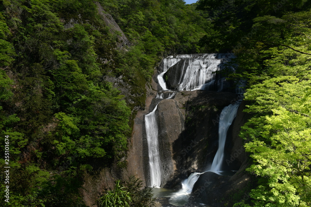 Obraz premium 栃木県袋田の滝
