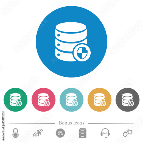 Database protection flat round icons photo