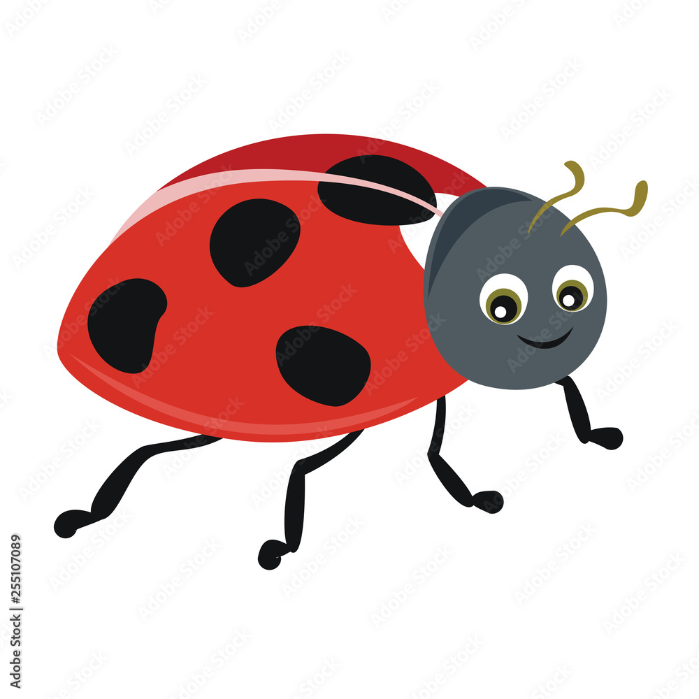 Fototapeta premium Ladybug isolated on white background. A cute, funny character in babies cartoon style. Vector illustration.