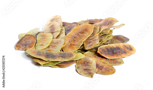 Alexandrina senna pods. Cassia senna, Egyptian senna, Tinnevelly senna, East Indian senna isolated on white background photo