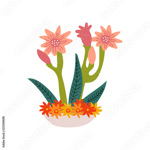Spring Amaryllis Flowers in Flowerpot, Beautiful Potted Plant Vector Illustration