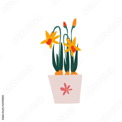 Spring Daffodils Flowers in Flowerpot, Beautiful Potted Plant Vector Illustration