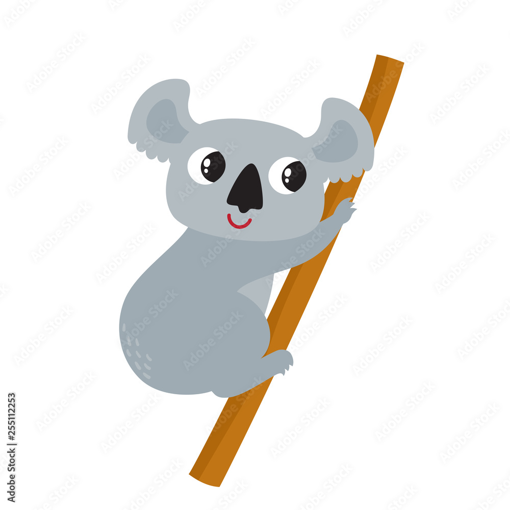 Vector illustration of cartoon funny koala isolated on white background. Vector illustration of cartoon funny koala isolated on white background.