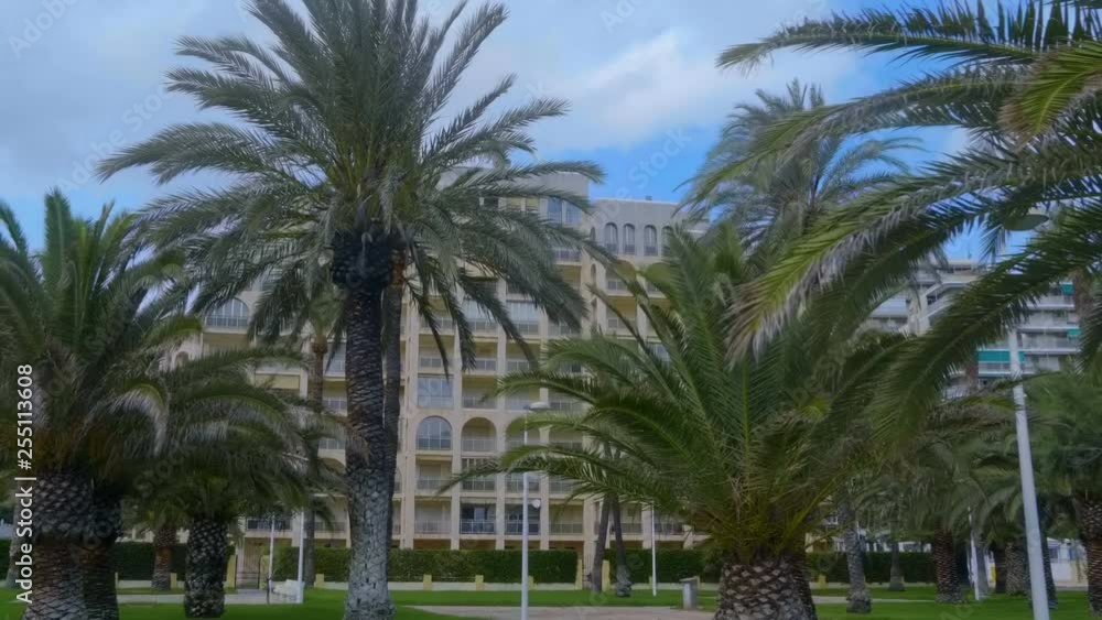 Palm trees stand on the coastal town against the backdrop of hotels and a blue sky with clouds. Shot in motion Palm trees stand on the coastal town against the backdrop of hotels and a blue sky with clouds. Shot in motion