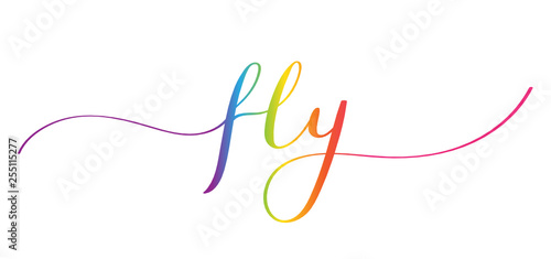 FLY brush calligraphy banner