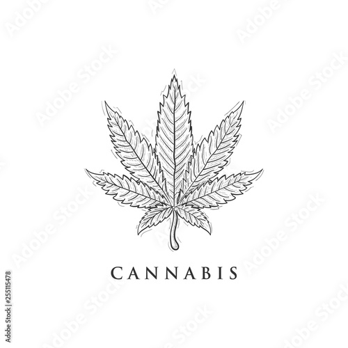 hand drawn cannabis logo designs