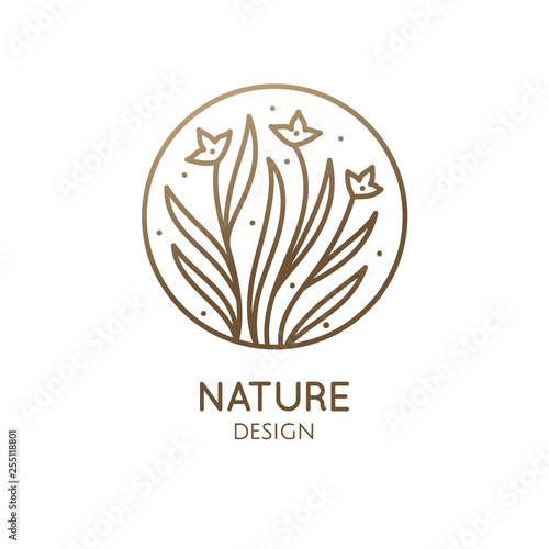 Fototapeta Naklejka Na Ścianę i Meble -  Tropical plant logo