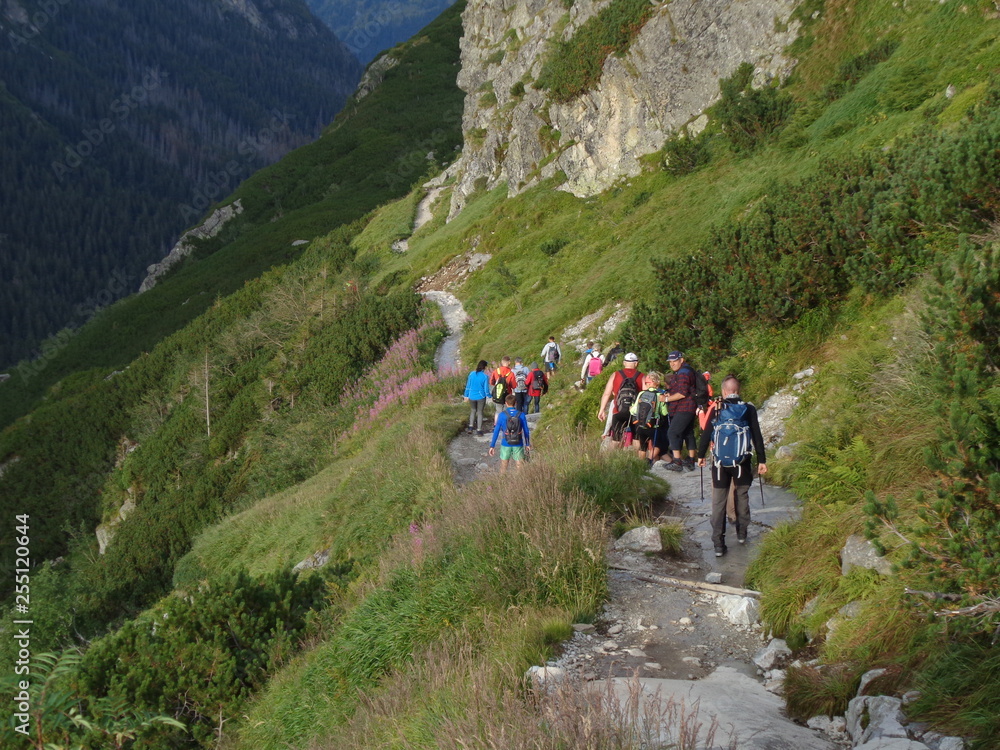 Obraz premium Wyprawa w Tatry